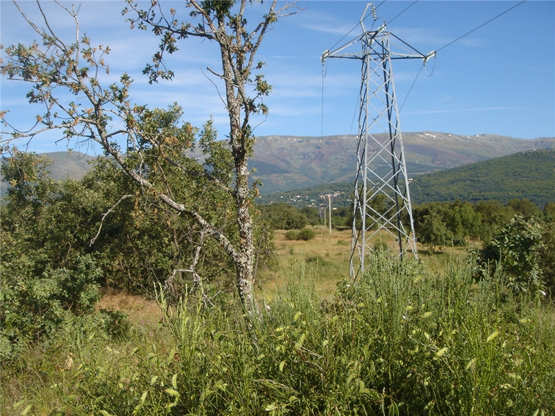 undefined - Image 7
