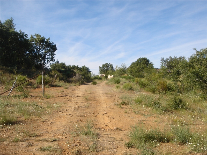 undefined - Image 8