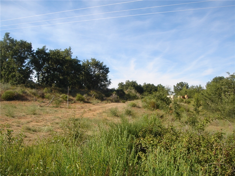 undefined - Image 11