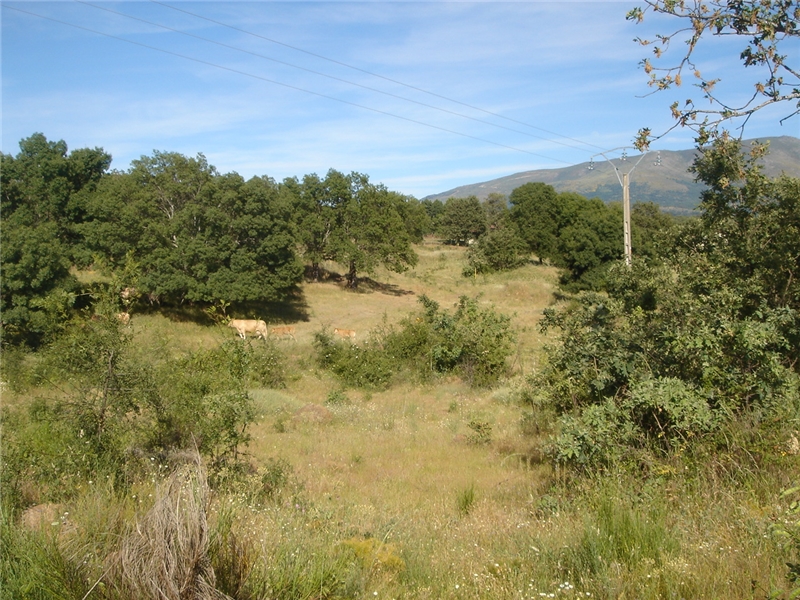 undefined - Image 3