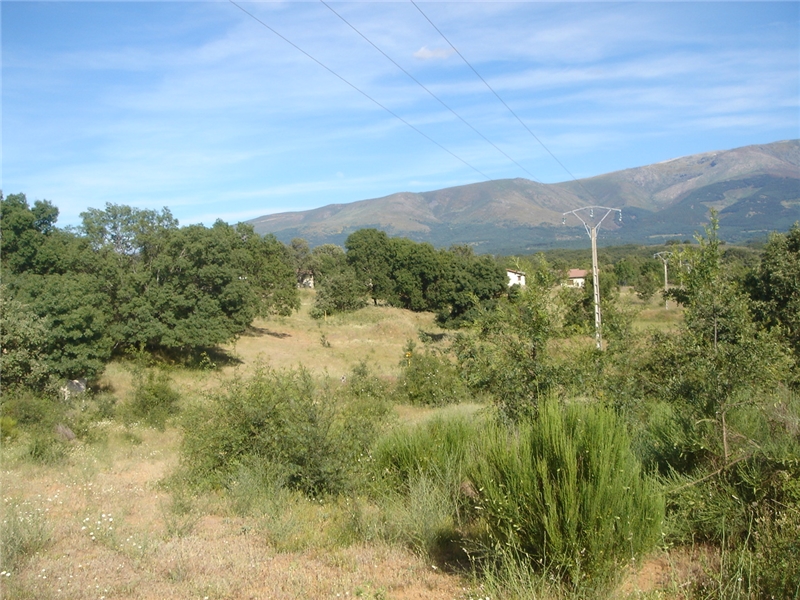 undefined - Image 6