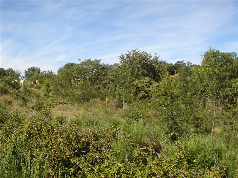 undefined - Image 12