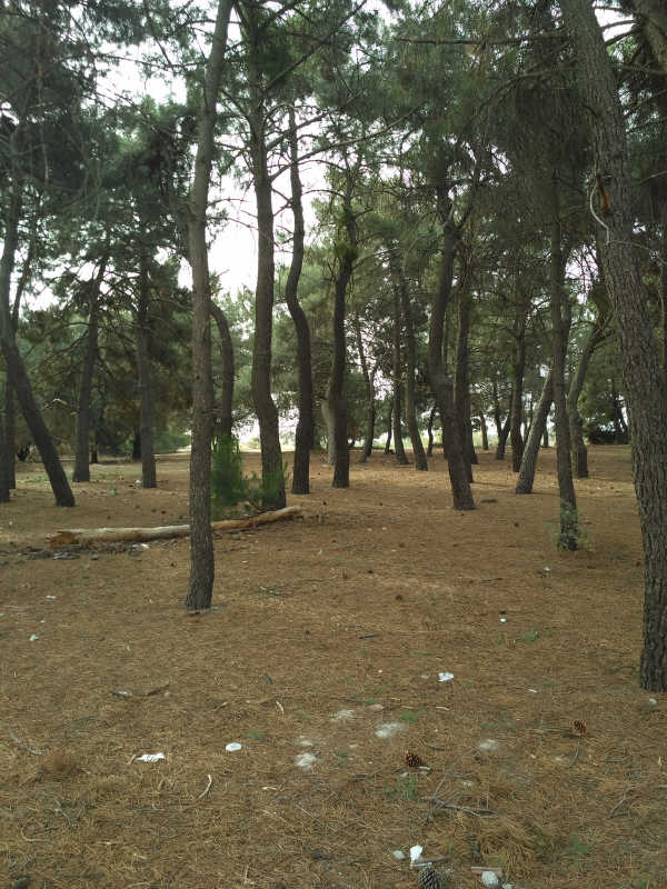 Suelo urbano residencial en Revuelta