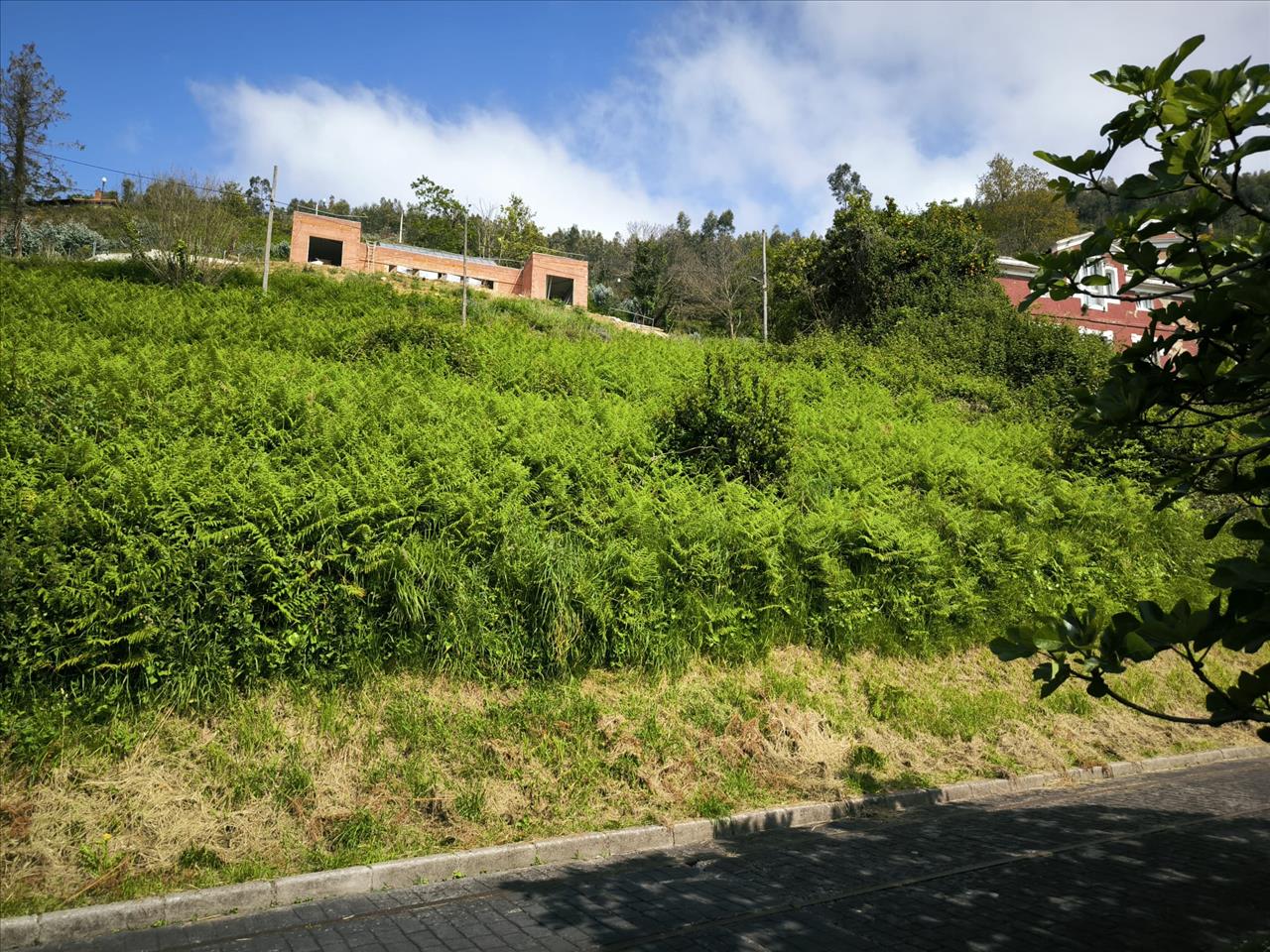 Suelo urbano residencial en Paseo Maritimo