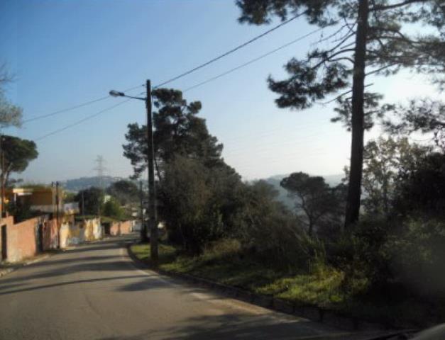 Image2