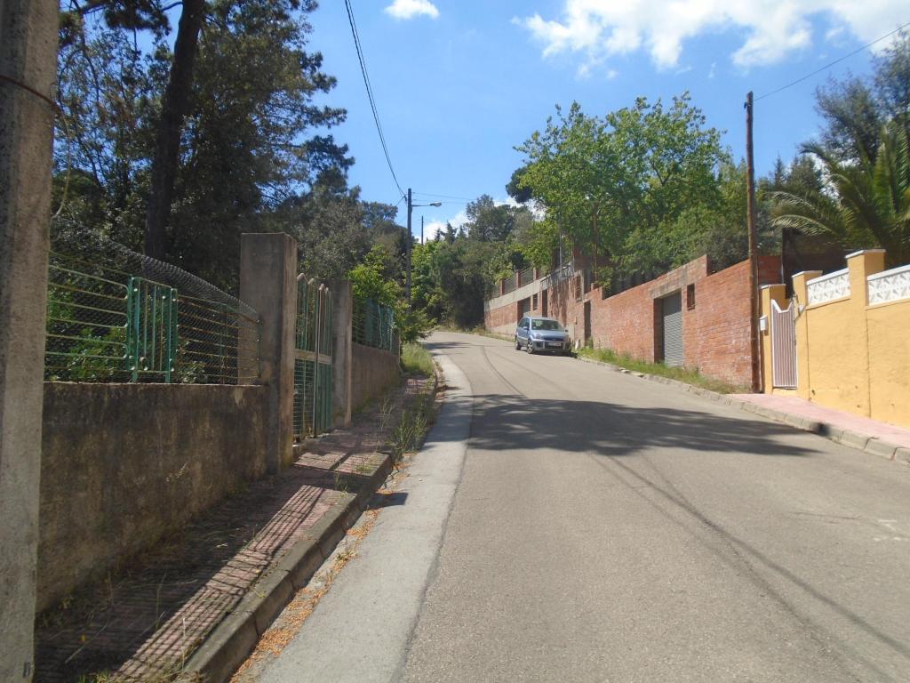 Image4