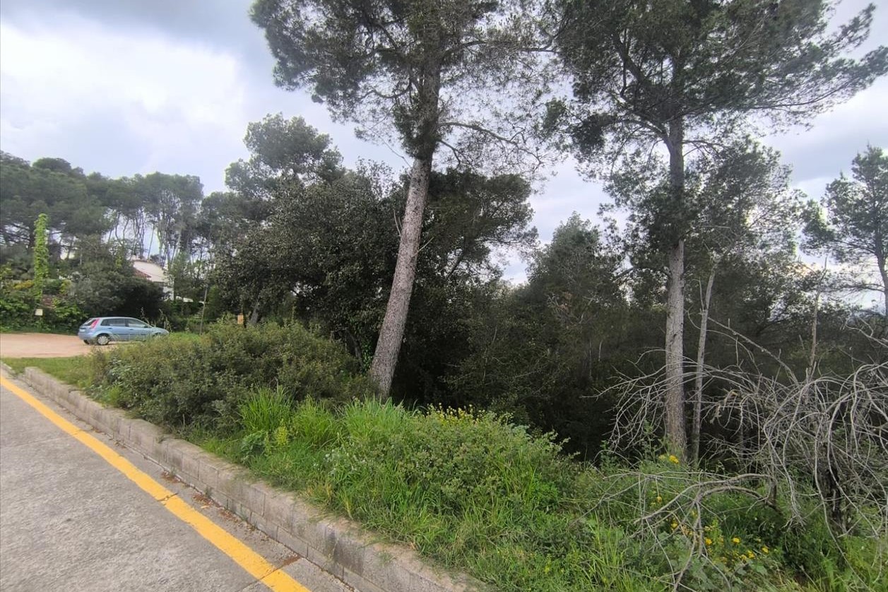 undefined - Image 11