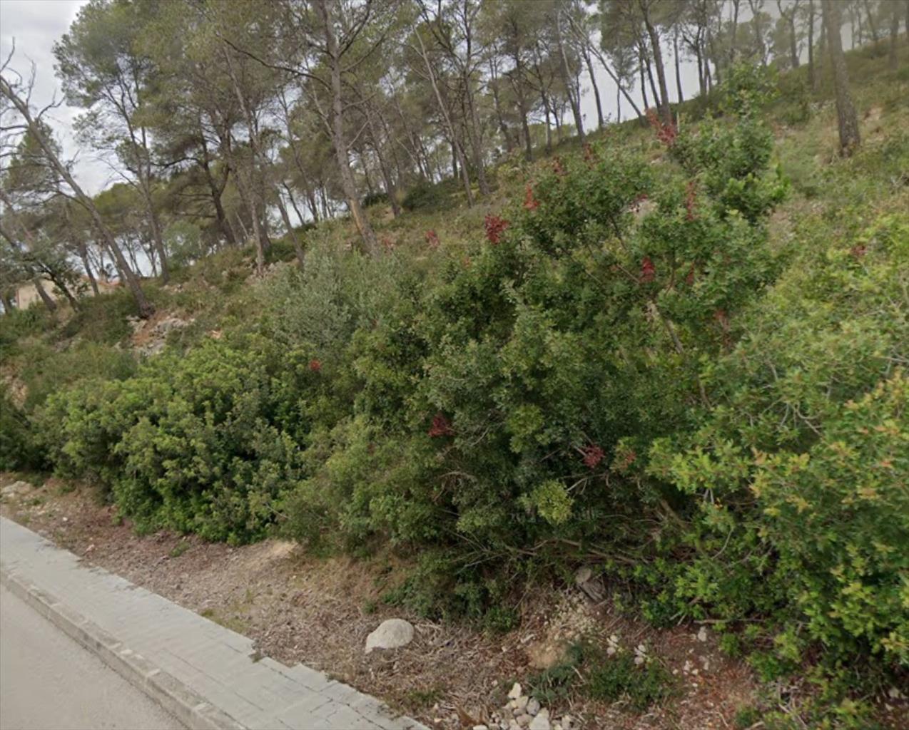 - Image 1