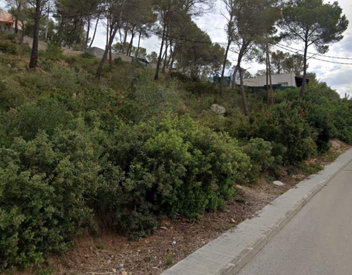 - Image 3