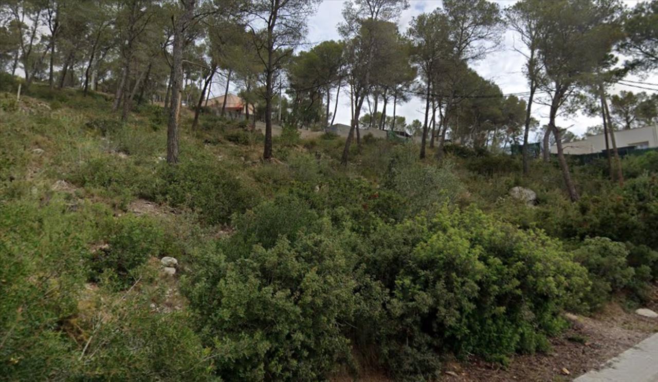 - Image 6