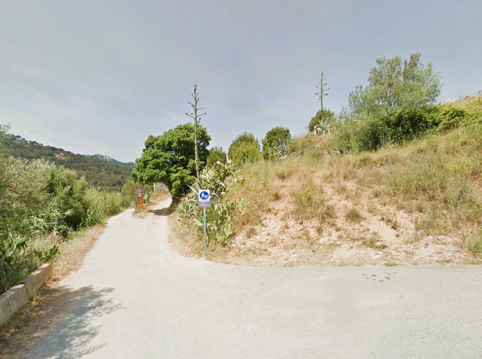 - Image 7