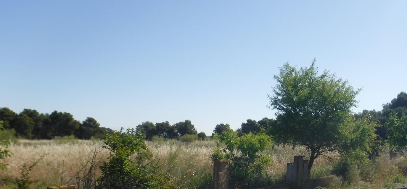 Suelo urbanizable residencial en Urà