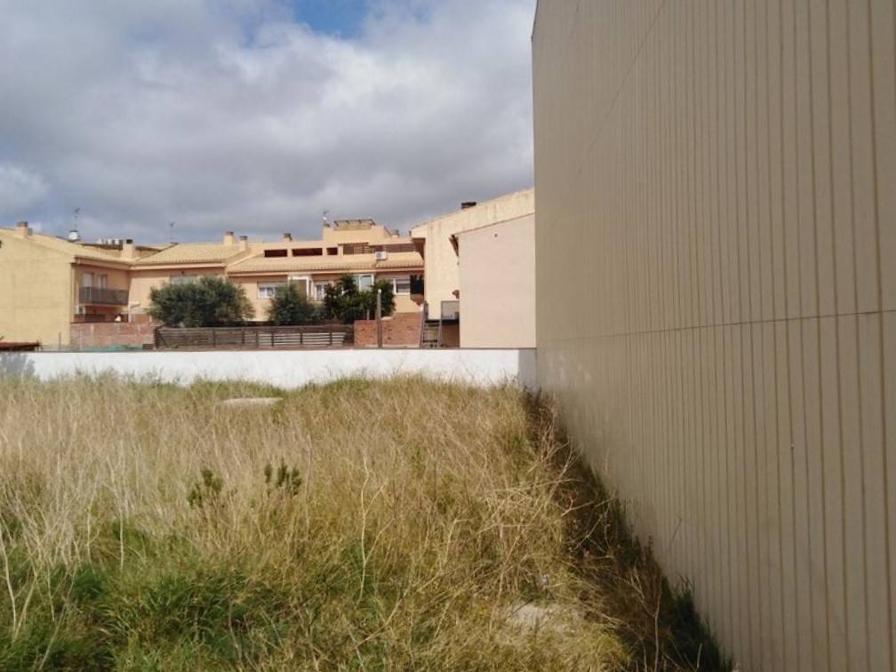 - Image 3