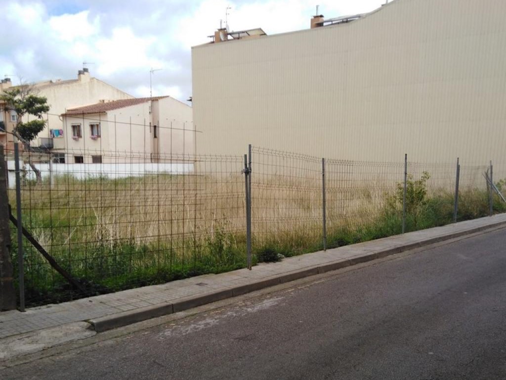 - Image 8