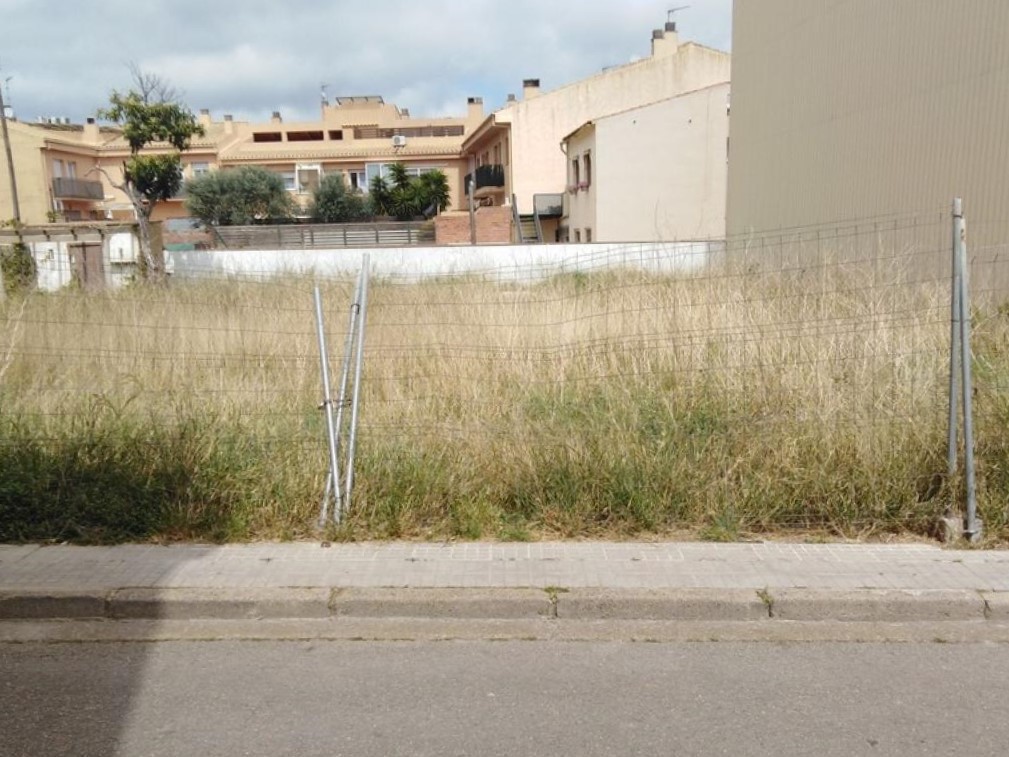 - Image 4