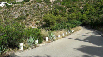 Terreno em Pego - Image 5