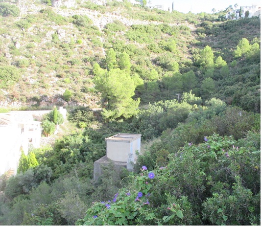 Terreno em Pego - Image 4