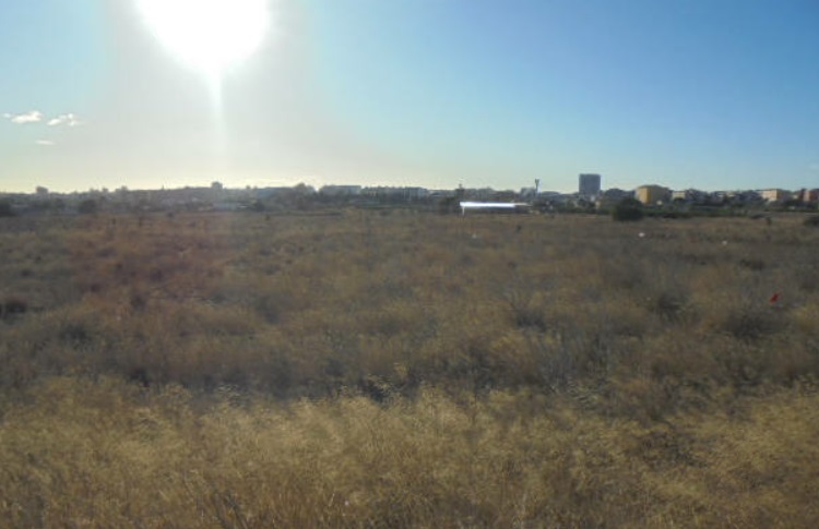 Asset image0