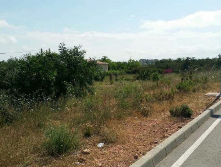 Image3