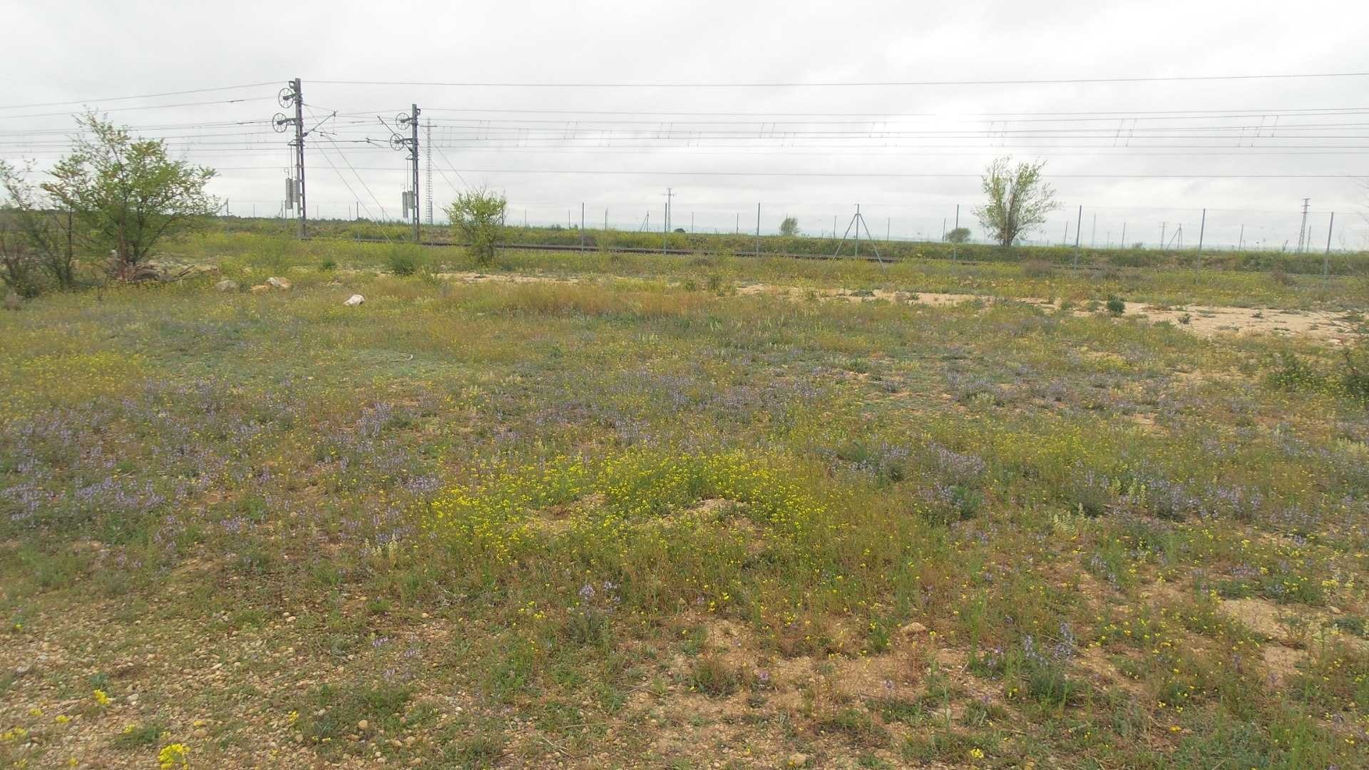 Suelo urbano residencial en Albasol