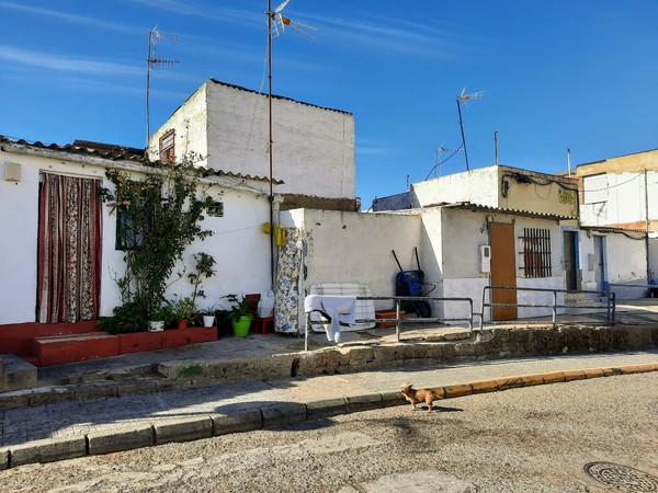 Casa en Calle Virgilio Viniegra