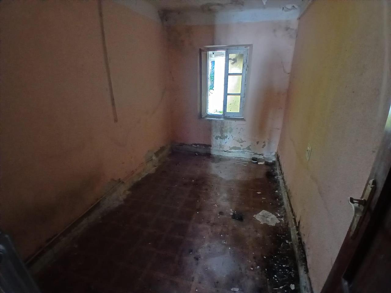 undefined - Image 12