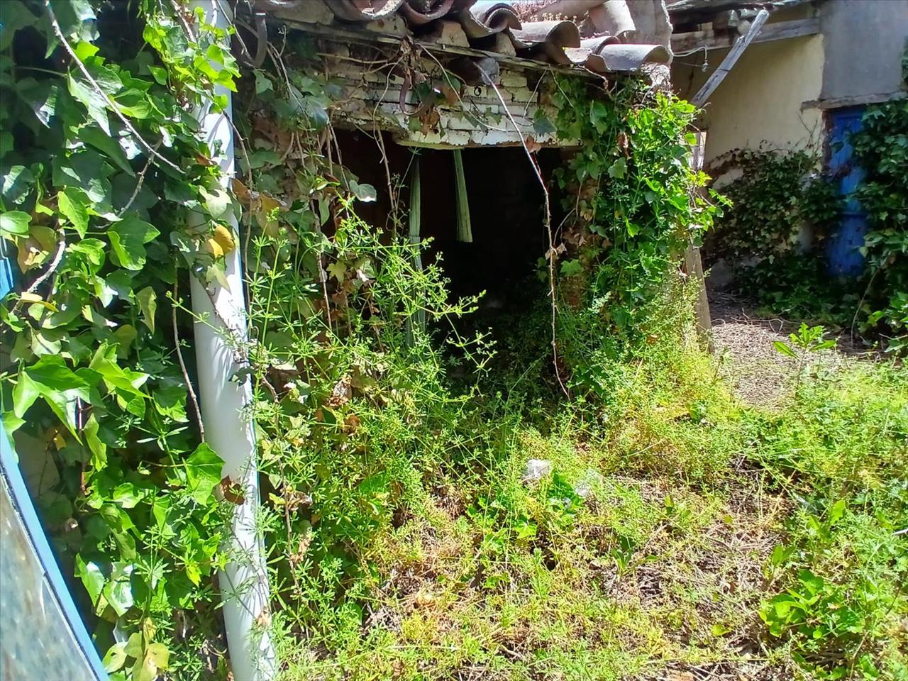 undefined - Image 8