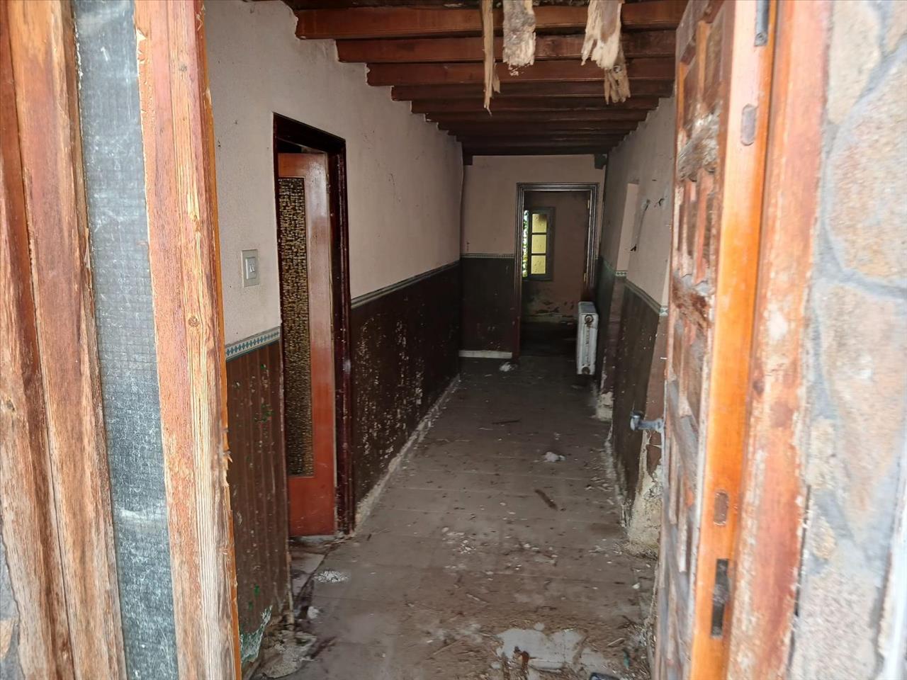 undefined - Image 6