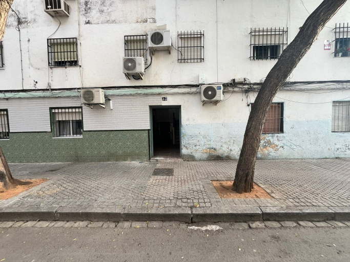 Calle Pino, Sevilla