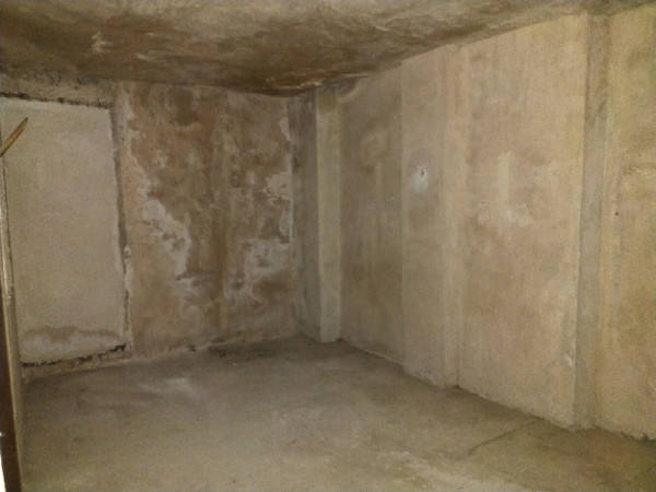 - Image 11