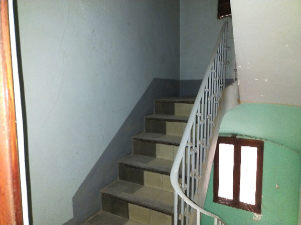 - Image 14