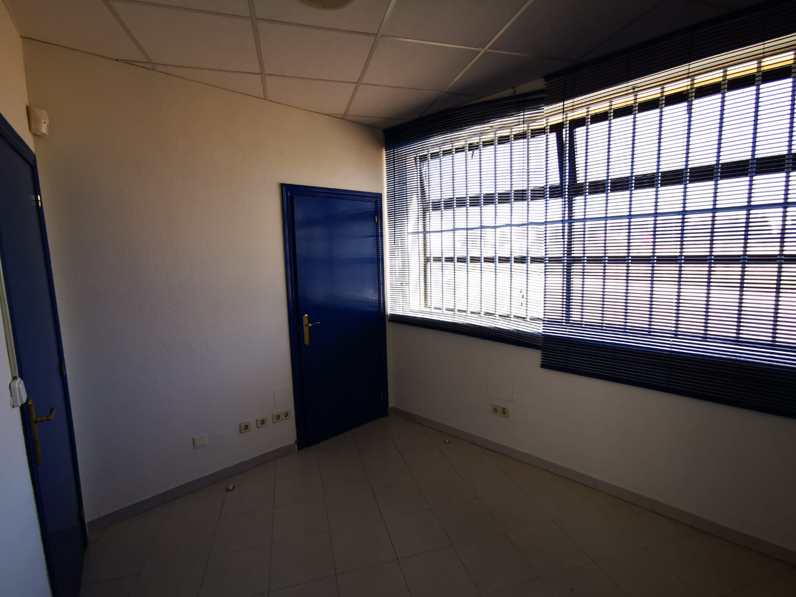 - Image 12