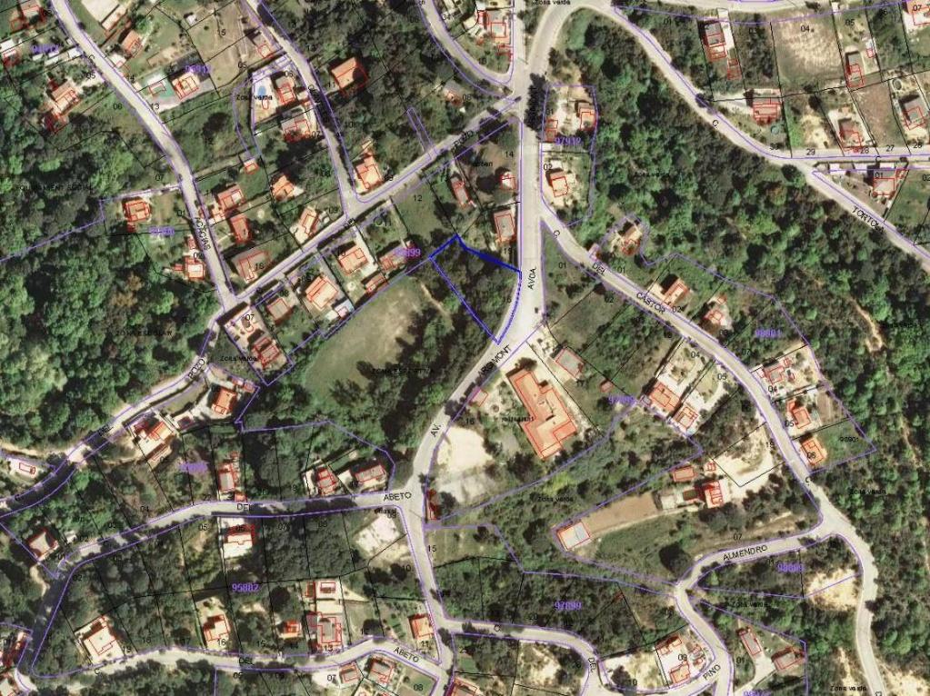 Image2