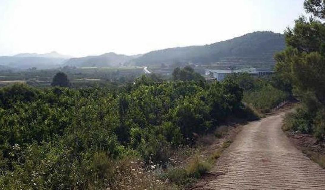 Finca rústica en Partida Llano (Del)