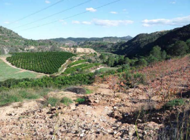 Finca rústica en Xativa