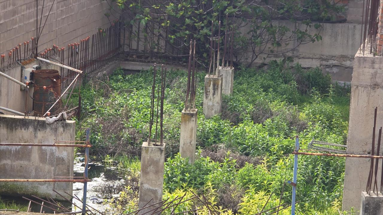 - Image 10