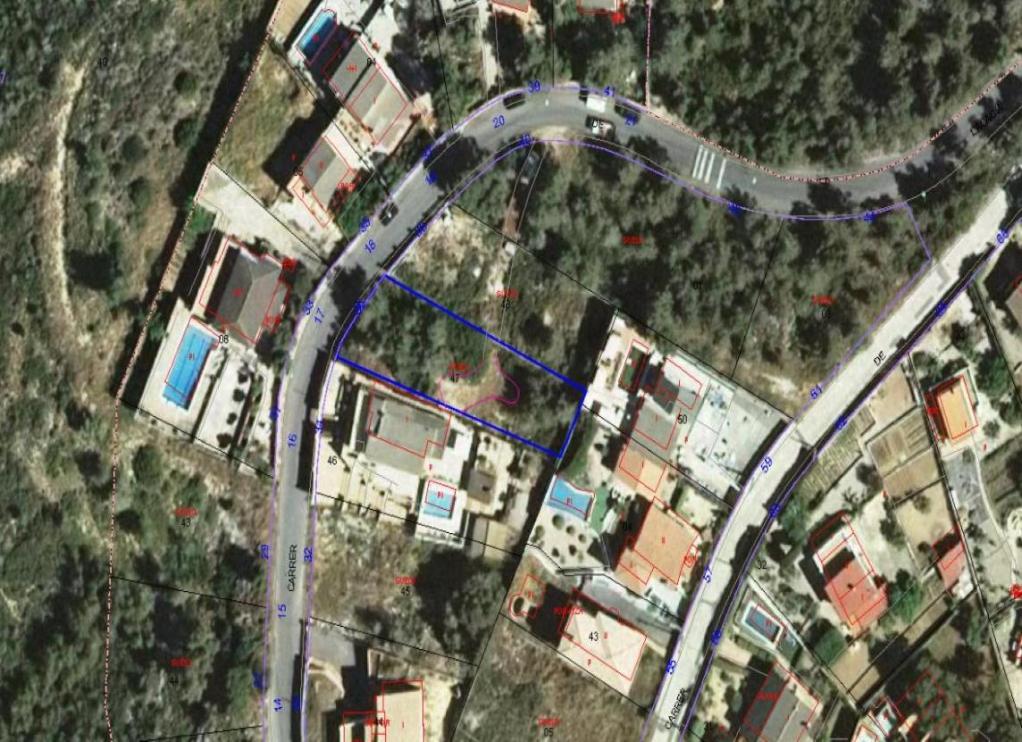 - Image 2