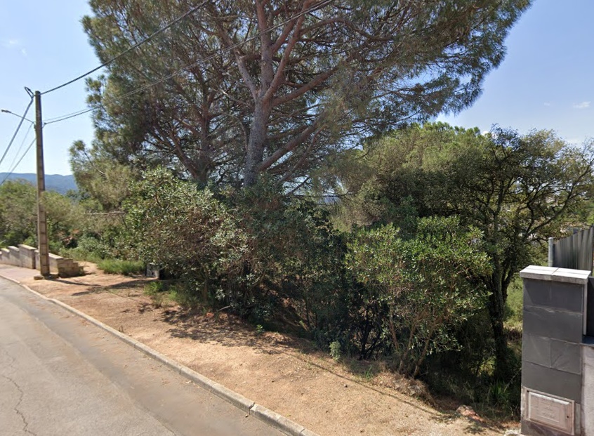 - Image 2