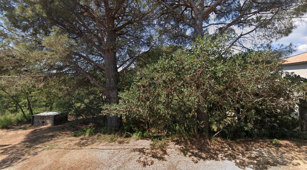 - Image 1