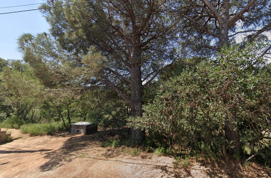 - Image 3