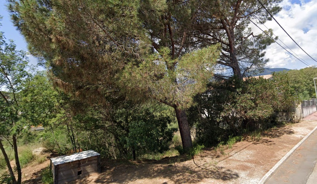 - Image 6