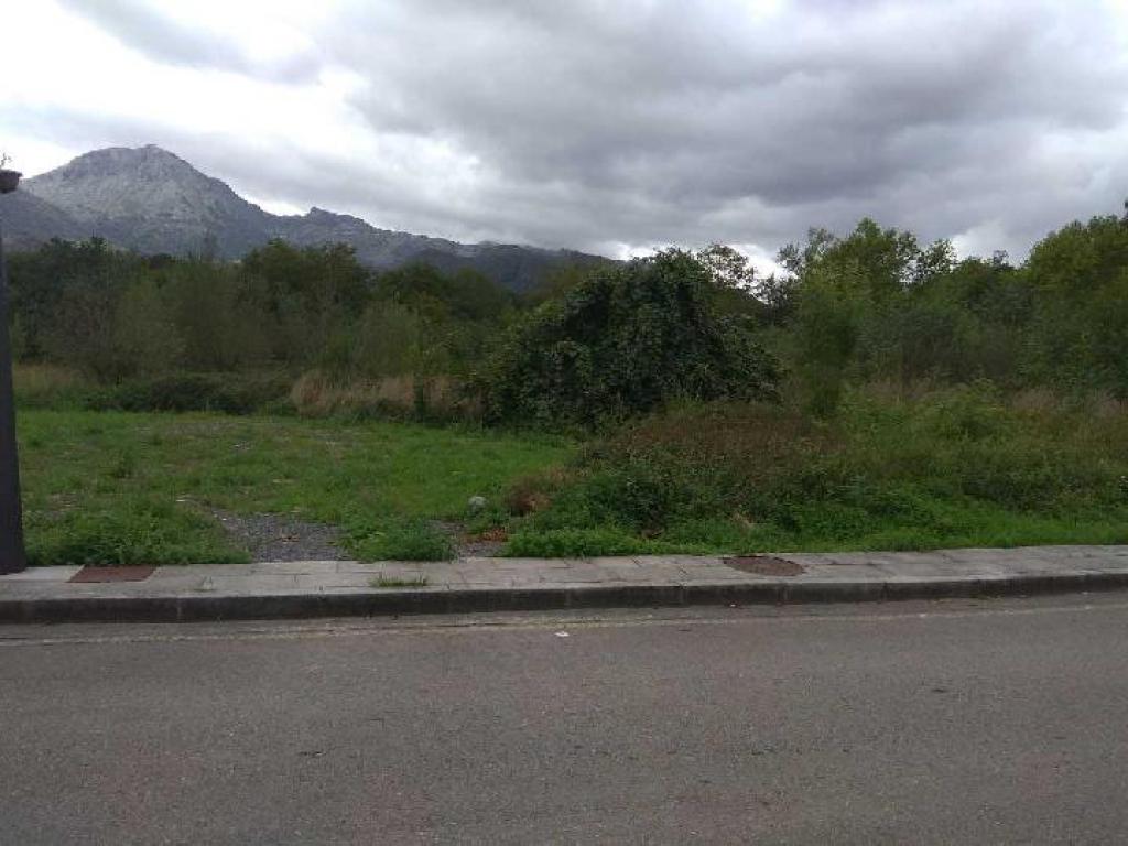 undefined - Image 8