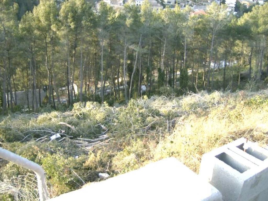 - Image 3