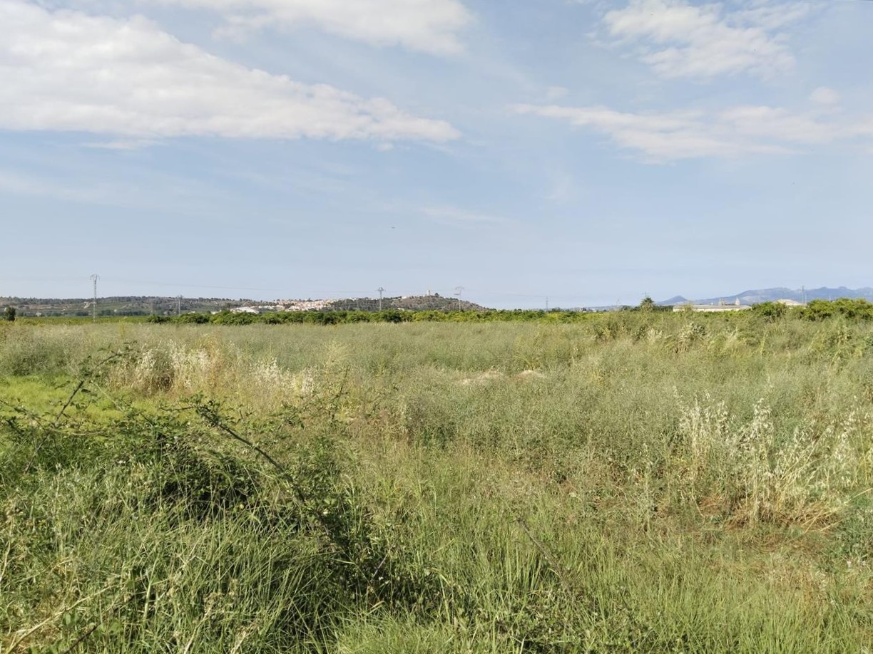 Suelo urbanizable residencial en Vall Farta La