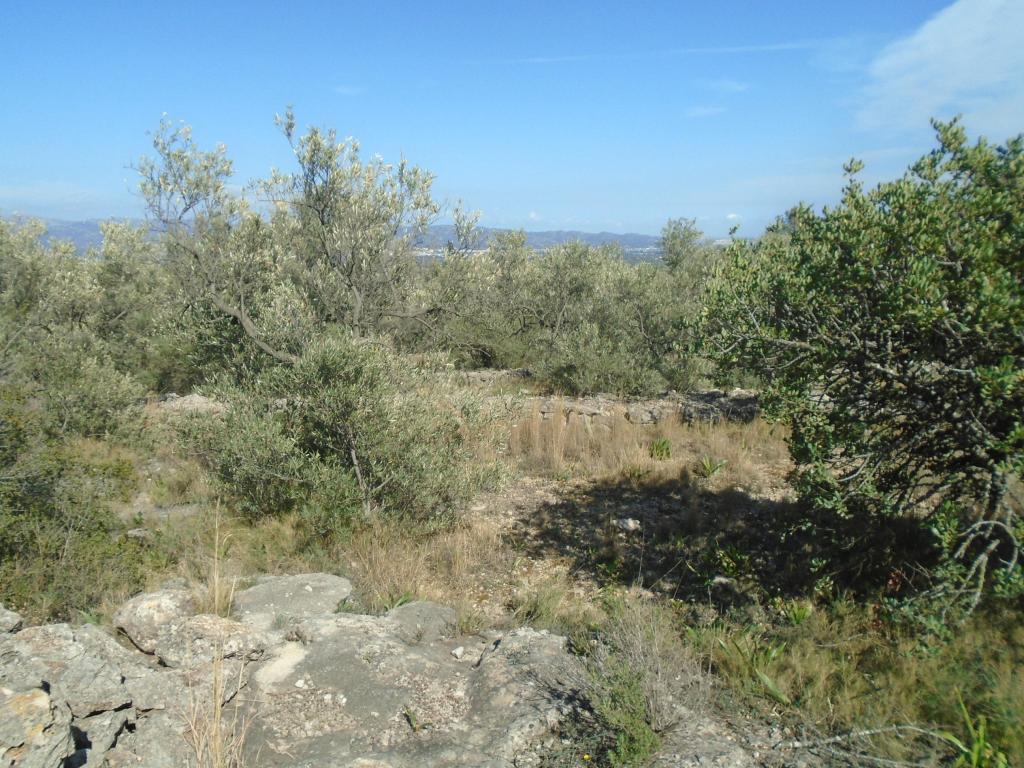 Finca rústica en Vall D'En Pasto