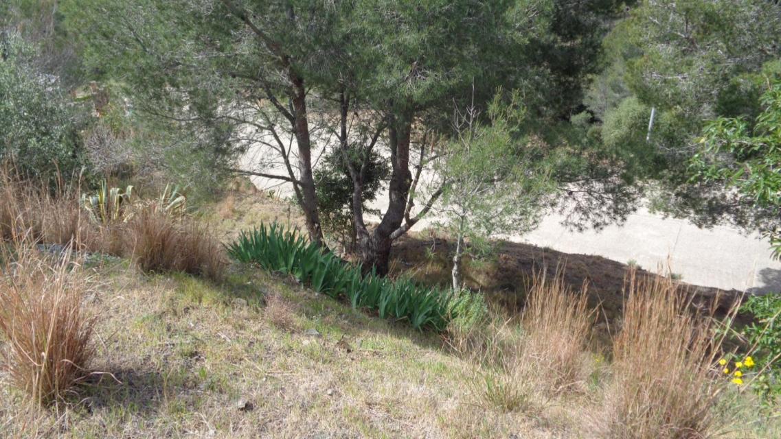 Suelo en Riudecanyes, Tarragona