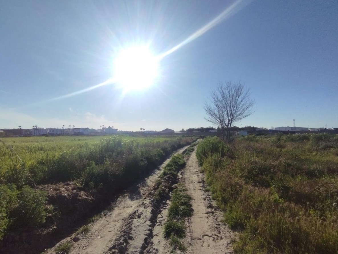 Finca rústica en Alonsario