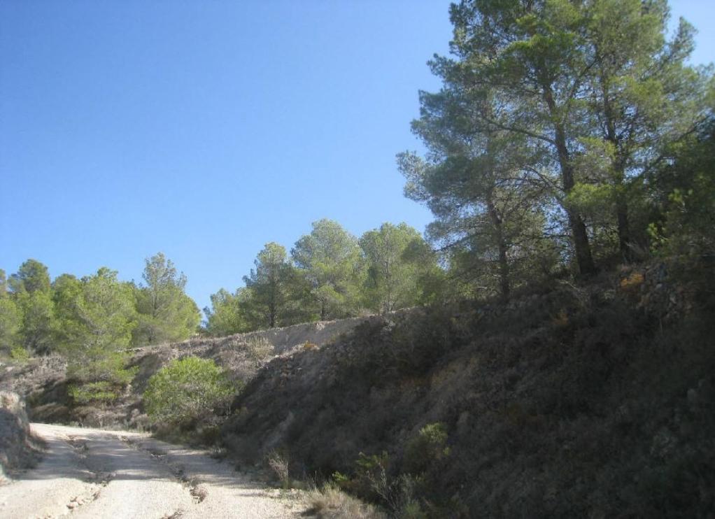 undefined - Image 9