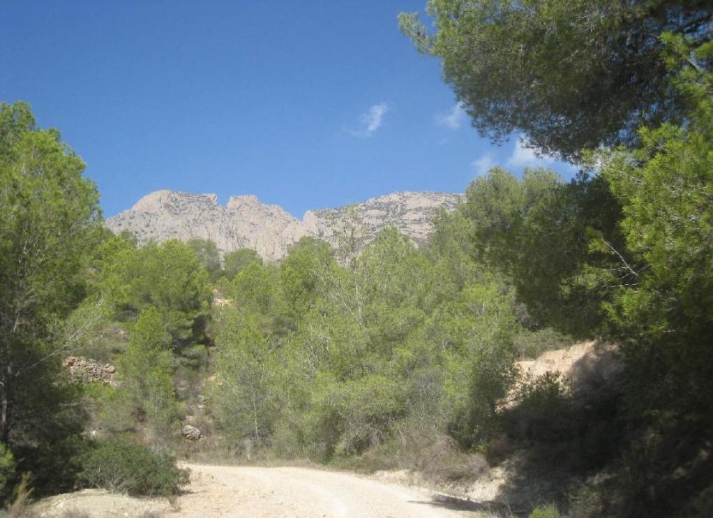 undefined - Image 7