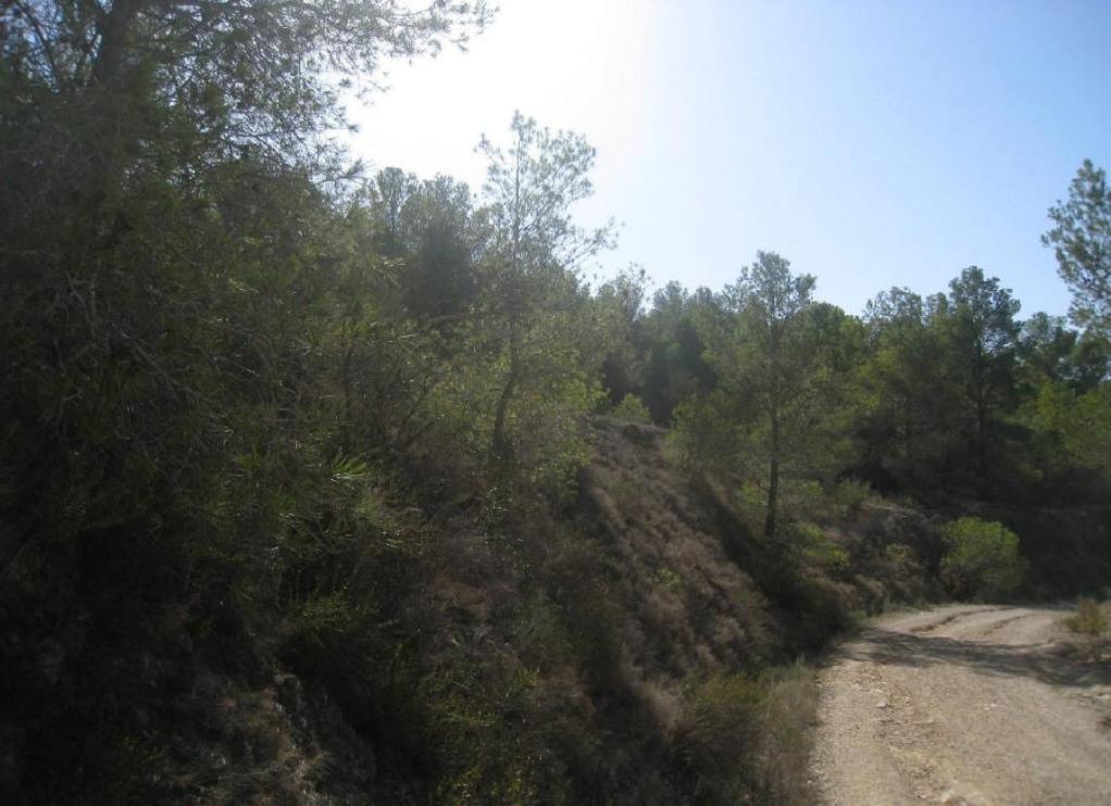 undefined - Image 8